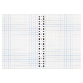 Записная книжка А6 80л., на гребне BG "Paper art