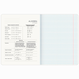 Тетради предметные, КОМПЛЕКТ 12 ПРЕДМЕТОВ, 48 л., SoftTouch, BRAUBERG, "ESTHETICS", 404833
