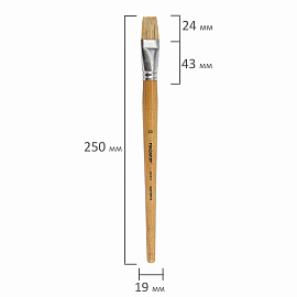 Кисть ПИФАГОР, ЩЕТИНА, плоская, № 20, деревянная лакированная ручка, пакет с подвесом, 200879