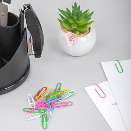 Скрепки EXTRA BRAUBERG 28 мм цветные 100 штук, 271313 фото Скрепки EXTRA BRAUBERG 28 мм цветные 100 штук, 271313