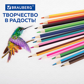 Карандаши с двухцветным грифелем BRAUBERG BICOLOUR, 12 штук, 24 цвета, шестигранные, грифель 3 мм, натуральное дерево, 181855