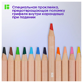 Карандаши цветные Berlingo "SuperSoft. Pro" 72цв., круглые, заточен., картон, европодвес