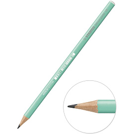 Карандаш чернографитный HB Stabilo Schwan Pastel заточенный круглый зеленый корпус фото Карандаш чернографитный HB Stabilo Schwan Pastel заточенный круглый зеленый корпус