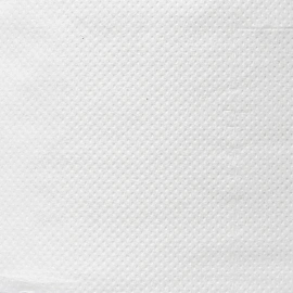 Бумага туалетная рулонная Luscan Professional T2/T10 2-слойная белая 12 рулонов по 170 метров