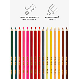 Карандаши цветные Гамма Мультики 24 цвета трехгранные (290122_24)