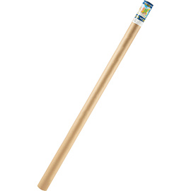 Карта России политико-административная 1:3 700 000 настенная 233x158 см с ламинацией