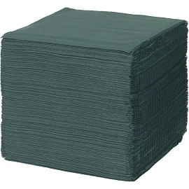 Салфетки бумажные 2-слойные 23x24 см зелёные (250 листов в пачке)