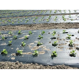 Пленка полиэтиленовая укрывная ПВД 35 мкм 50 м х 1.8 м рукав (2 сорт, черная, 2.425 кг)