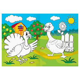 Раскраска с цв. фоном А4, 16 стр., ТРИ СОВЫ "В деревне