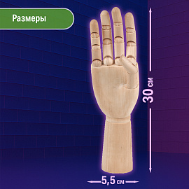 Манекен художественный BRAUBERG ART CLASSIC "РУКА", высота 30 см., мужская правая, дерево, 191297