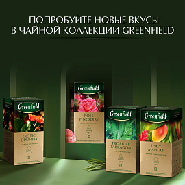 Чай фруктовый Greenfield Summer Bouquet 25 пакетиков (малина)