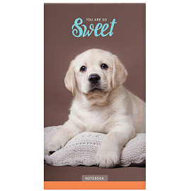 Блокнот А6 24л. на скрепке ArtSpace "Домашние любимцы. Микс фото Блокнот А6 24л. на скрепке ArtSpace "Домашние любимцы. Микс