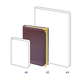 Ежедневник недатированный, А5, 160л., кожа, Delucci, гладкая кожа, золот. срез, коричневый фото Ежедневник недатированный, А5, 160л., кожа, Delucci, гладкая кожа, золот. срез, коричневый