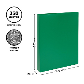 Папка на 2 кольцах СТАММ А4, 40мм, 500мкм, пластик, зеленая фото Папка на 2 кольцах СТАММ А4, 40мм, 500мкм, пластик, зеленая