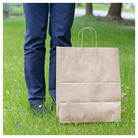 Пакет бумажный "Крафт" с кручеными ручками, 32*20*37см, 70г/м2