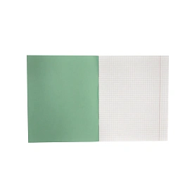 Тетрадь школьная зеленая Маяк Канц А4 24 листа в клетку (160 штук в упаковке)