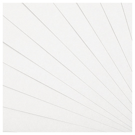 Картон белый А4, Мульти-Пульти, 12л., мелованный, в папке, "Приключения Енота