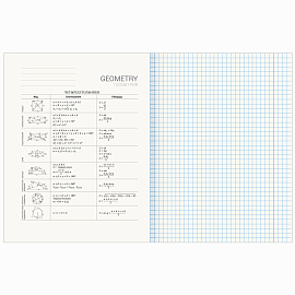 Тетрадь предметная "AVOCADO" 48 л., глянцевый лак, ГЕОМЕТРИЯ, клетка, BRAUBERG, 404278