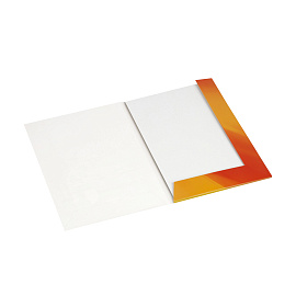 Картон белый А4, Мульти-Пульти, 20л., мелованный, в папке, "Приключения Енота