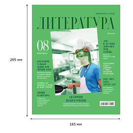 Тетрадь предметная 48л. BG "Скандальности" - Литература, глянцевая ламинация