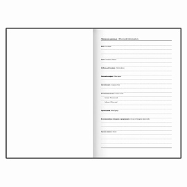 Ежедневник недатированный А5 145х215 мм BRAUBERG бумвинил, 160 л., черный, 126540