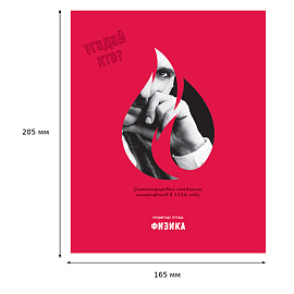 Тетрадь предметная 48л. BG "Угадай кто" - Физика, матовая ламинация, выб. лак