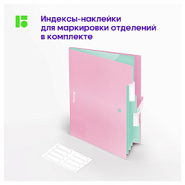 Папка 5 отделений Berlingo "Haze", А4, 600мкм, на кнопке, розовая, софт-тач