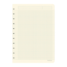 Сменный блок для бизнес-тетрадей Berlingo 80л., А4, белый