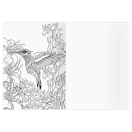 Раскраска А4, 16 стр., ТРИ СОВЫ "Антистресс. Райские птицы