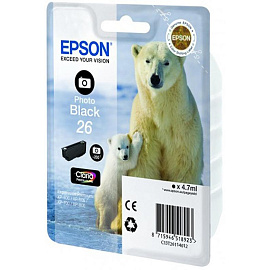 Картридж струйный Epson 26 C13T26114012 фото черный оригинальный