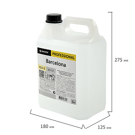 Дезинфицирующее средство для рук и поверхностей Pro-Brite Barcelona 5 л