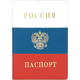 Обложка для паспорта ДПС Россия из ПВХ разноцветная (2203.Ф)