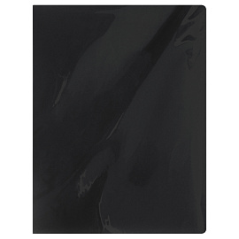 Папка с 30 вкладышами OfficeSpace "Вита" А4, 17мм, 500мкм, пластик, черная фото Папка с 30 вкладышами OfficeSpace "Вита" А4, 17мм, 500мкм, пластик, черная