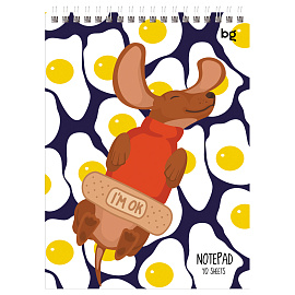 Блокнот А5 40л. на гребне BG "Такие смешные