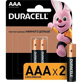 Батарейка ААА мизинчиковая Duracell (2 штуки в упаковке)