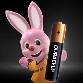 Батарейка ААА мизинчиковая Duracell (2 штуки в упаковке)