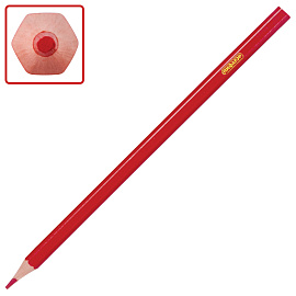 Карандаши цветные ПИФАГОР "КОТИК", 12 цветов, шестигранные, 181340 фото Карандаши цветные ПИФАГОР "КОТИК", 12 цветов, шестигранные, 181340