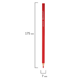 Карандаши цветные кросс-серия "МИЛЫЕ КОТЫ", 12 цветов, трехгранные, BRAUBERG, 182109