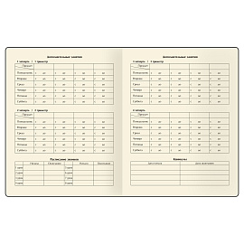 Дневник 1-11 кл. 48л. ЛАЙТ BG "Орел. Красный", иск. кожа soft-touch, блинтовое тиснение, ляссе