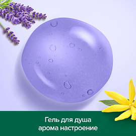 Гель для душа Palmolive Арома Настроение Твое расслабление 750 мл фото Гель для душа Palmolive Арома Настроение Твое расслабление 750 мл