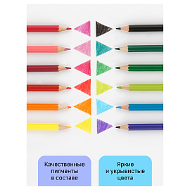 Карандаши цветные Гамма "Хобби. Флористика", 12цв., заточен., ПВХ, европодвес фото Карандаши цветные Гамма "Хобби. Флористика", 12цв., заточен., ПВХ, европодвес