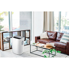Кондиционер мобильный Electrolux EACM-13 CL/N3 (НС-1092616) фото Кондиционер мобильный Electrolux EACM-13 CL/N3 (НС-1092616)