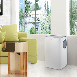 Кондиционер мобильный Electrolux EACM-13 CL/N3 (НС-1092616) фото Кондиционер мобильный Electrolux EACM-13 CL/N3 (НС-1092616)