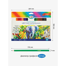 Карандаши цветные Гамма 36 цветов шестигранные фото Карандаши цветные Гамма 36 цветов шестигранные