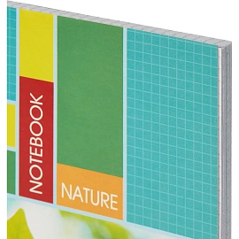 Бизнес-тетрадь Attache Green Nature А4 96 листов в клетку на спирали (204x291 мм)