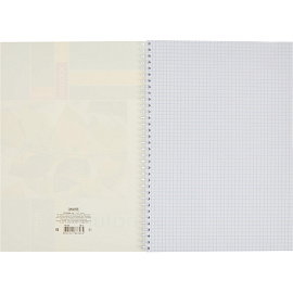 Бизнес-тетрадь Attache Green Nature А4 96 листов в клетку на спирали (204x291 мм)