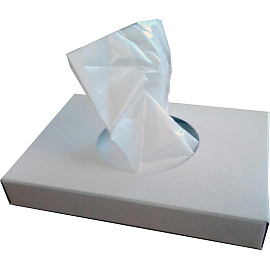 Пакеты гигиенические в боксе 255х150 мм картон (30 штук в упаковке)