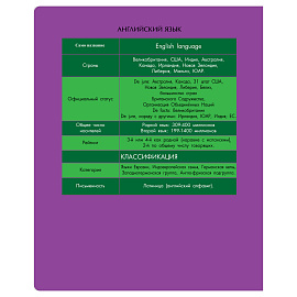 Тетрадь предметная 48л. BG "Профтест" - Английский язык, эконом