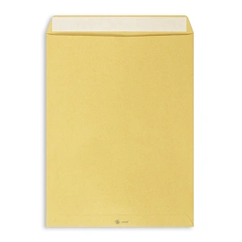 Пакет Multipack E4 (300x400 мм) из крафт-бумаги 100 г/кв.м стрип до 250 листов (500 штук в упаковке) фото Пакет Multipack E4 (300x400 мм) из крафт-бумаги 100 г/кв.м стрип до 250 листов (500 штук в упаковке)