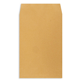 Пакет Extrapack С4 (229x324 мм) из крафт-бумаги 100 г/кв.м стрип (250 штук в упаковке)